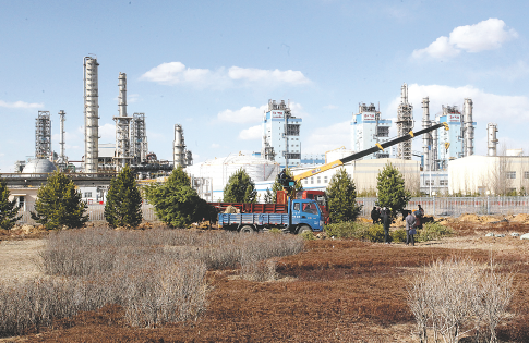 篮球体育平台App界面预览